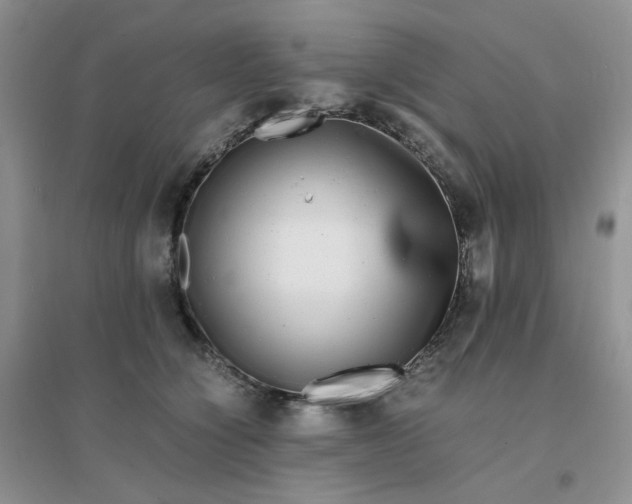 X0000096380564200802071516