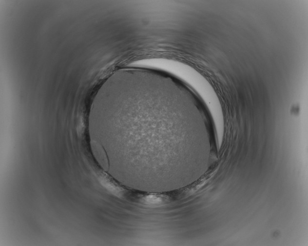 X0000096380566200802071516