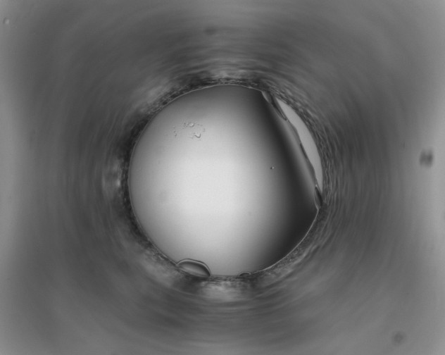 X0000096380567200802071516