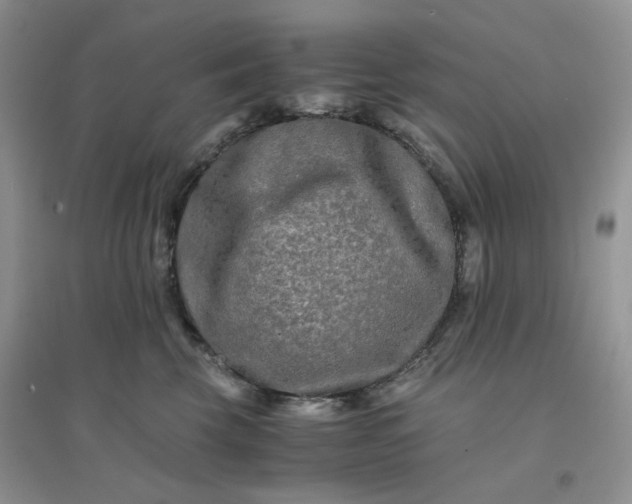 X0000096380569200802071516