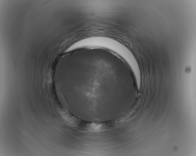 X0000096380570200802071516