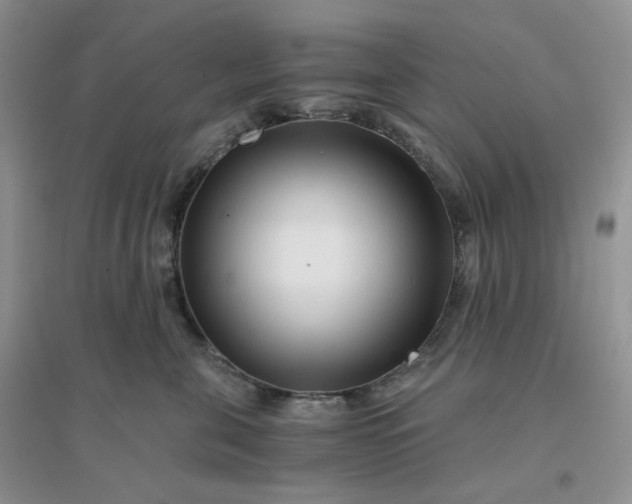 X0000096380571200802071516