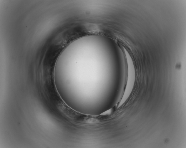 X0000096380572200802071516