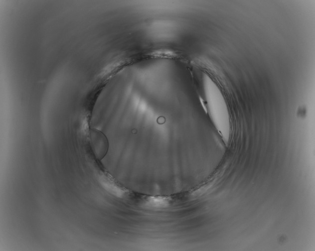 X0000096380573200802071516