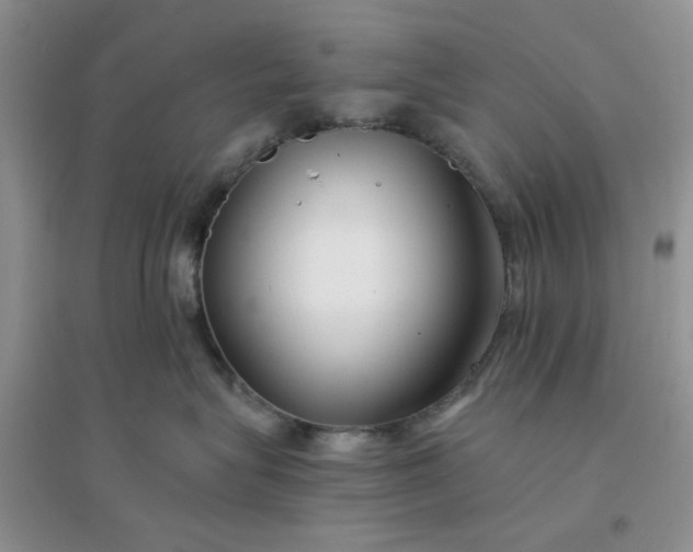 X0000096380575200802071516