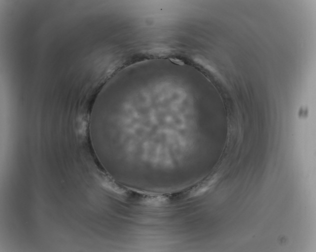 X0000096380576200802071516