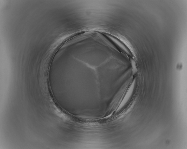 X0000096380577200802071515