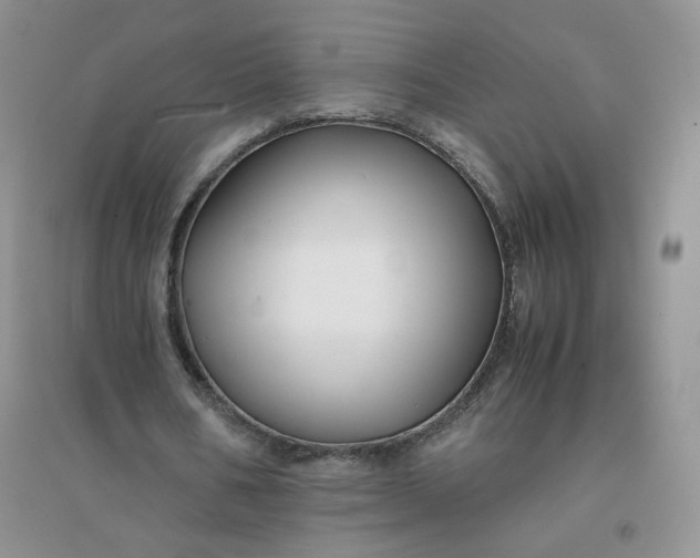 X0000096380578200802071515