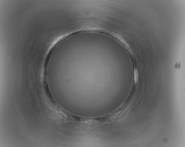 X0000096380579200802071515