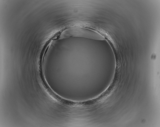 X0000096380581200802071515