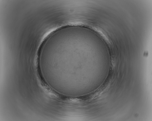 X0000096380583200802071515