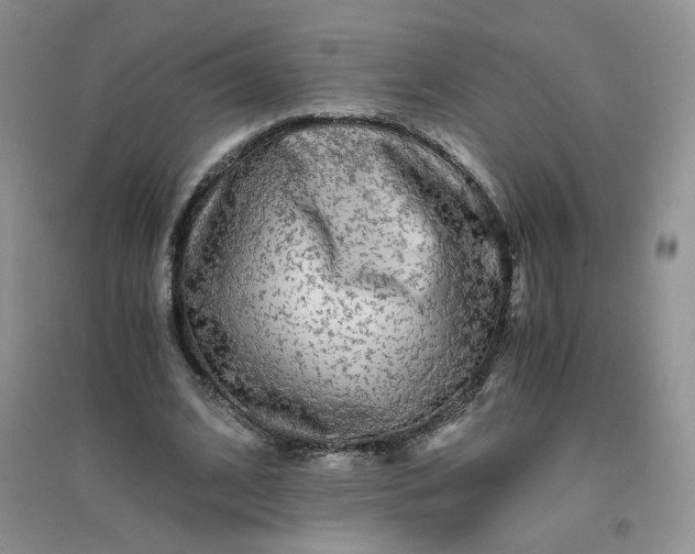 X0000096380584200802071515