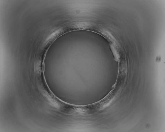 X0000096380585200802071515