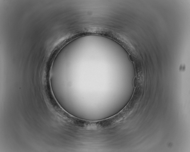 X0000096380587200802071515