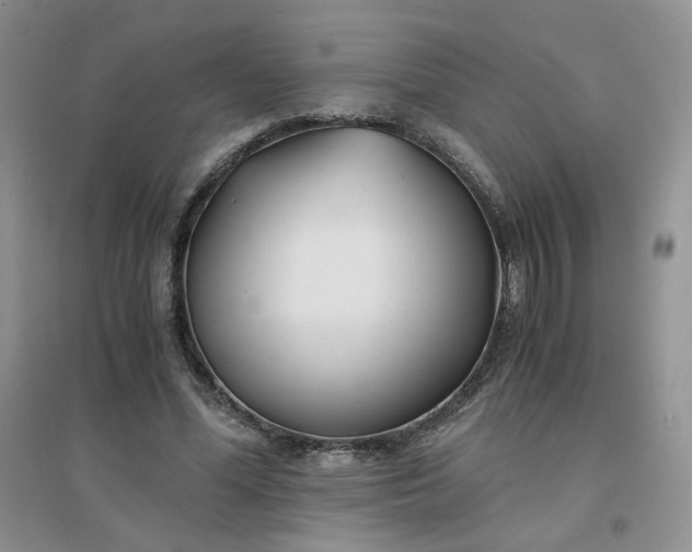 X0000096380588200802071515