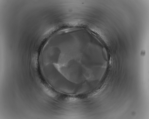 X0000096380590200802071515