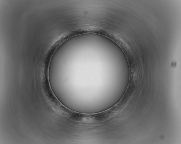 X0000096380591200802071515