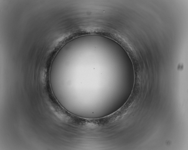 X0000096380592200802071515