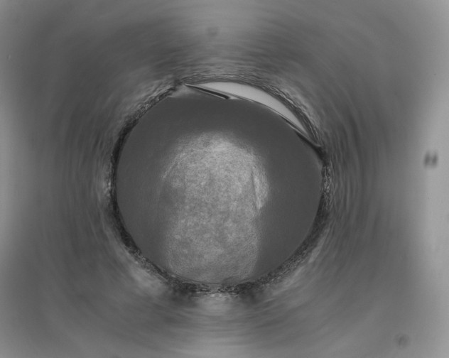 X0000096380593200802071515