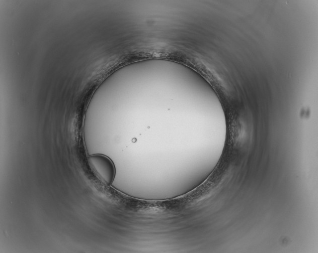 X0000096380594200802071515