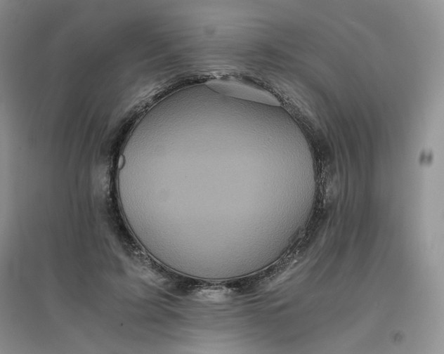 X0000096380595200802071515