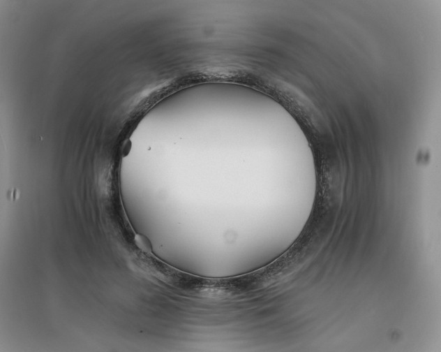 X0000096380596200802071515