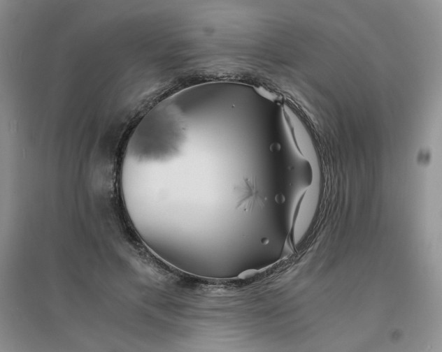 X0000096380597200802071515