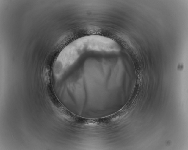 X0000096380598200802071515