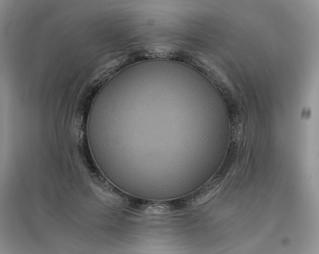 X0000096380599200802071515