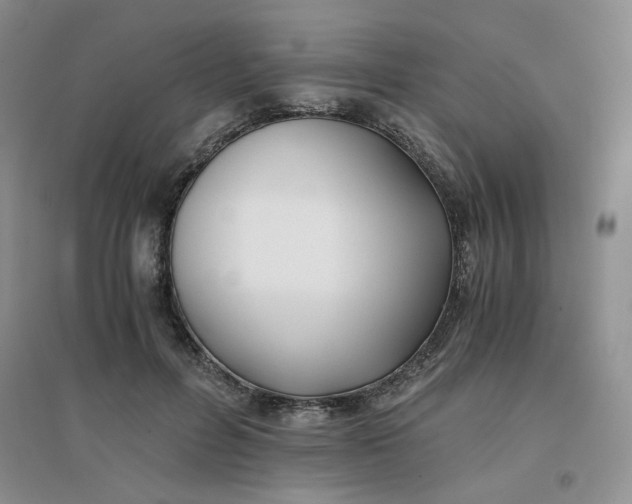 X0000096380600200802071515