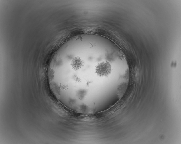 X0000096380601200802071515