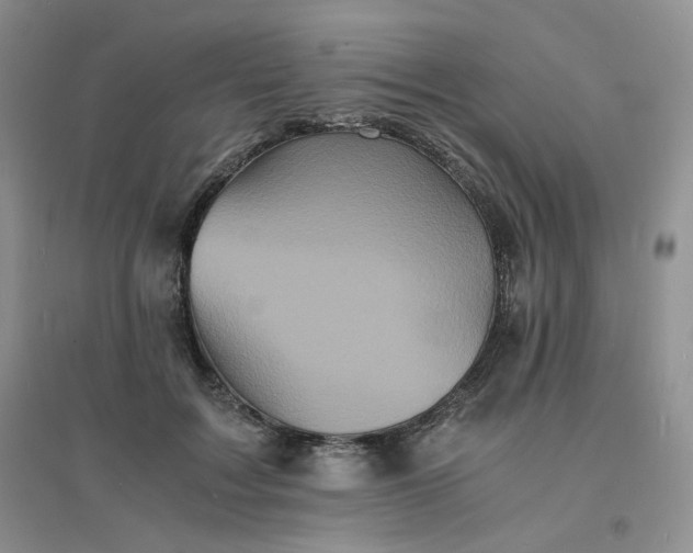 X0000096380603200802071515