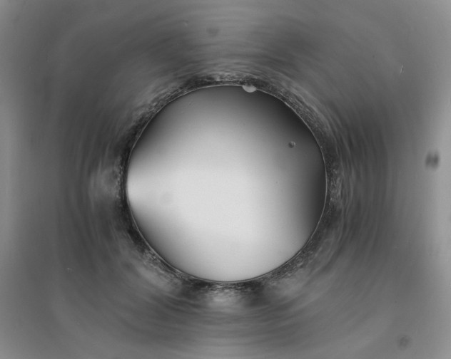 X0000096380604200802071515