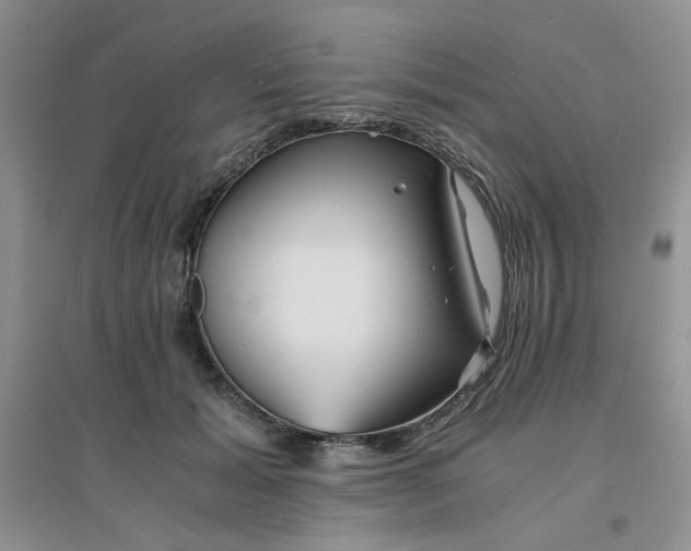 X0000096380605200802071515