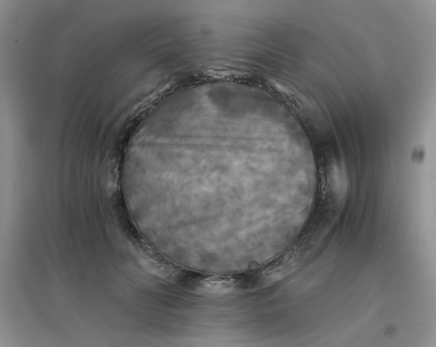 X0000096380606200802071515