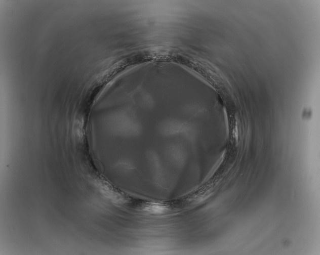 X0000096380610200802071515