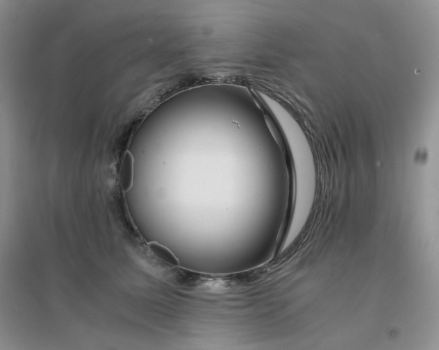 X0000096380611200802071515