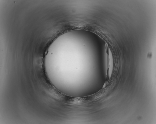 X0000096380612200802071515