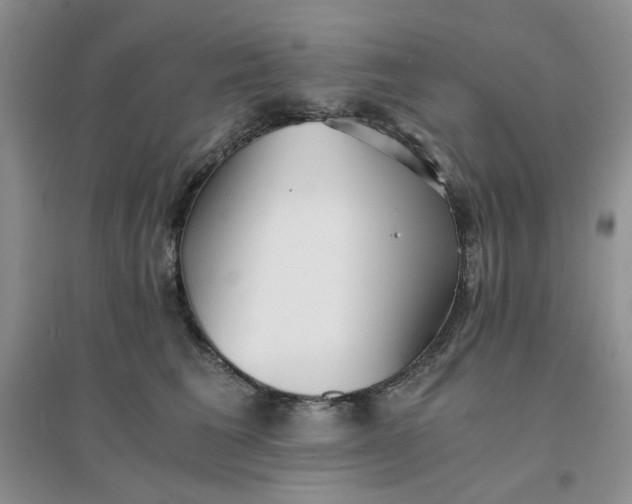 X0000096380613200802071515