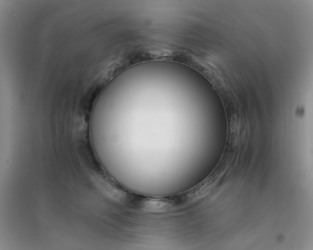 X0000096380614200802071515