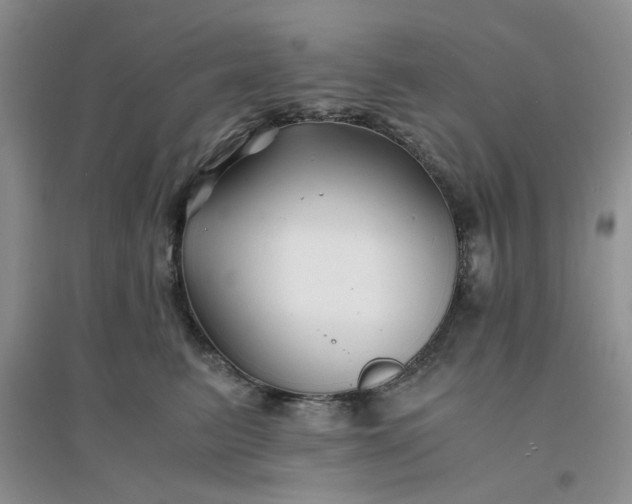 X0000096380615200802071515