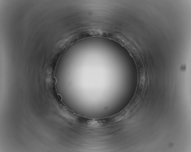 X0000096380616200802071515