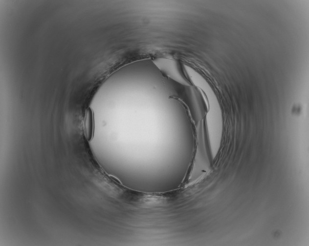 X0000096380617200802071515