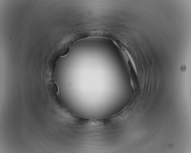 X0000096380619200802071515