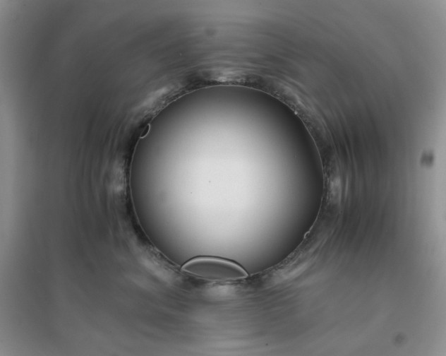 X0000096380620200802071515