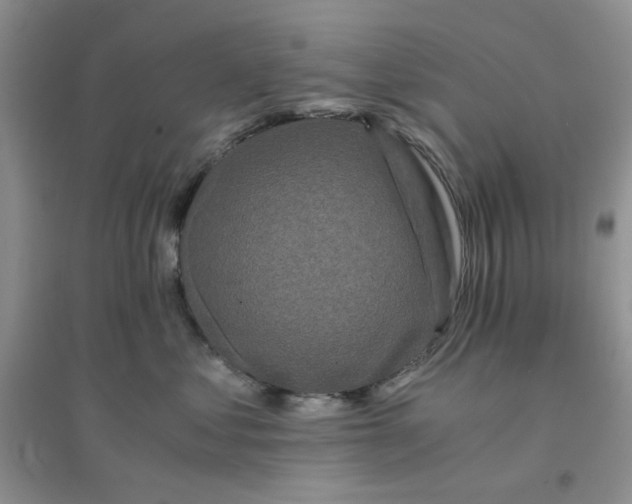 X0000096380621200802071515