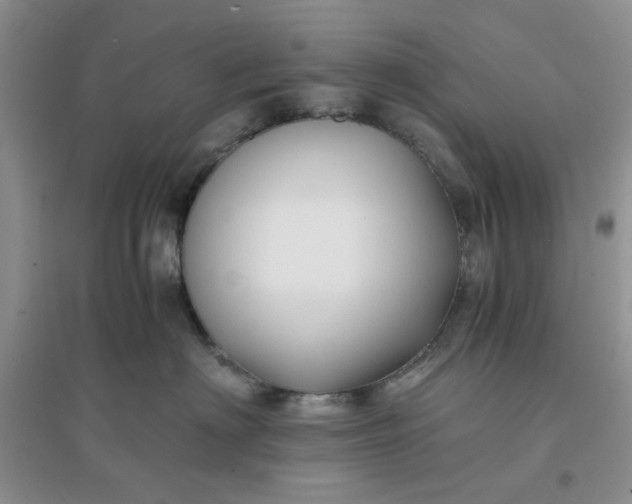 X0000096380622200802071515