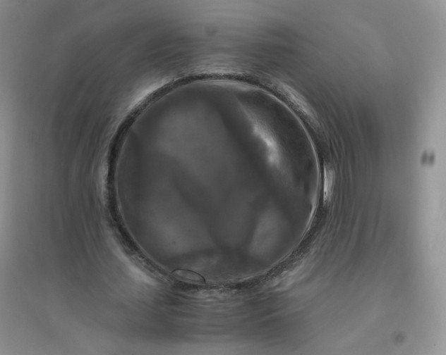 X0000096380627200802071514