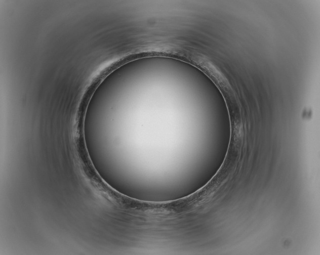 X0000096380628200802071514