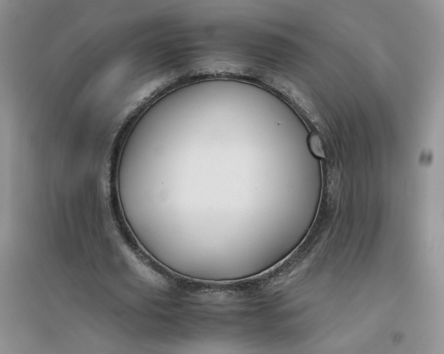 X0000096380629200802071514